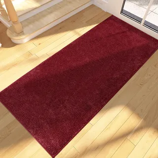 FCSDETAIL Schmutzfangmatte Innen Lang 60 x 210 cm, rutschfeste waschbare Fußmatte, Sauberlaufmatte, absorbierend Türmatte, Fussmatte Läufer Teppich für Hund, Eingang, Haustür, Flur, Küchen, Korridor