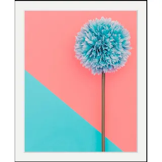 Bild QUEENCE "Pusteblume", bunt (farbe rahmen: schwarz, farbe bild(er): bunt), B:30cm H:40cm T:3cm, Acrylglas, Holz, Papier, Bilder, Bild, HD Premium Poster-Druck inkl. Holzrahmen