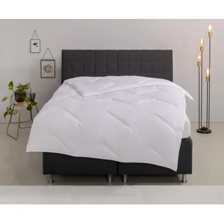 OTTO home Microfaserbettdecke "Sartes, Bettdecke 135x200 cm, 155x220 cm" leicht Füllung Polyester Bezug Polyester 1 Stk. tlg. Bettdecken, Sommer, Decke, für Allergiker geeignet, weiß