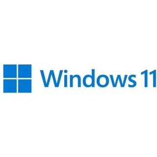 Windows 11 Pro for Workstations DVD DSP/SB DE