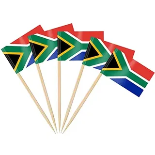 AhfuLife 100 Stück Südafrika Zahnstocher Flaggen, Südafrikanisch Deko Fahne Klein Mini Zahnstocher Südafrika Fähnchen für WM 2026 Cupcake Topper Toothpick Cocktail Party Pub Deko