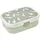 Campus Brotdose mit Bento-Einsatz und Gabel 750 ml Little Goose