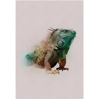 KOMAR Wandbild Animals Iguana 50 x 70 cm