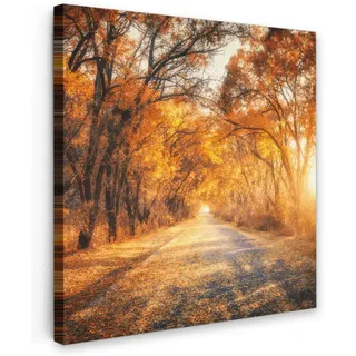 MuchoWow Leinwandbild Wald - Herbst - Bäume - Waldweg - Natur Deko Groß 90x90 cm , Bernsteinfarben , Textil , Kiefer , Abstrakt , Quadratisch , 90x90 cm , FSC 100% , gerahmt , Bilder & Rahmen, Bilder, Leinwandbilder
