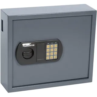 Schlüsselkasten mit Zahlencode für 50 Schlüssel – Wandmontage Stahl | Schlüsseltresor abschließbar mit Code & Notschlüssel | Schlüsselschrank groß | Schlüsselsafe mit Einwurfschlitz, 4mm