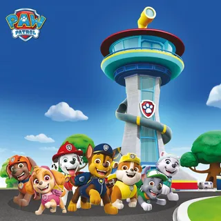 Bönninghoff Leinwandbild "Wandbild PAW PATROL 35x35 cm – Leinwandbild Keilrahmen Deko modern" Filmfiguren 1 Stk. tlg. auf Keilrahmen gespannt, farbe rahmen: kein rahmen, farbe bild(er): blau, weiß, grün, rot