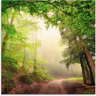 Artland Glasbild »Natürliche Torbögen durch Bäume« Wald 1 Stk. tlg. in verschiedenen Größen, grün