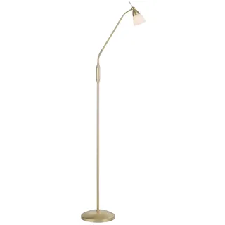 Paul Neuhaus Pino 111 cm x 163 cm 111 cm x 163 cm gold