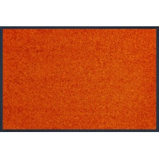 Bild Trend-Colour 40 x 60 cm burnt orange