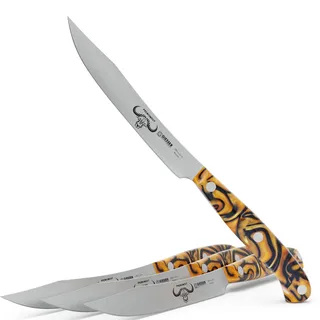 Giesser seit 1776 - Made in Germany - Steakmesser 4 er Set Spicy Orange, Klinge 12 cm, PremiumCut Steak No 1, Acryl, exotisch, rostfrei, deutsches Grillmesser scharf
