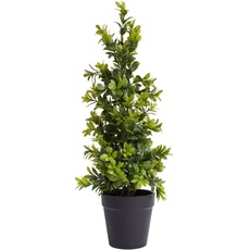 Bild Künstliche Zimmerpflanze »Buchsbaum im Topf«, grün