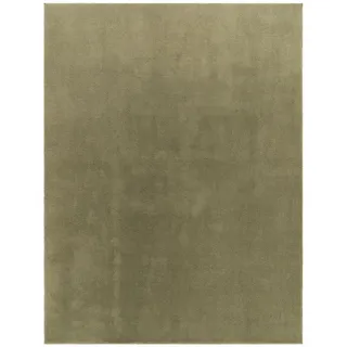 TT Home Hochflorteppich 240 x 340 cm Grün