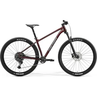 MERIDA Big.Nine 200 IV1 glitter cherry(grey) (GLITTER CHERRY(GREY), Größe L)...