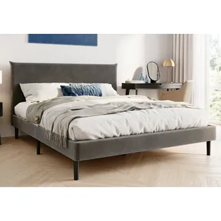 home collective Polsterbett 140x200 und 160x200 cm mit Lattenrost und weichem Bezug, Bettgestell 160x200 cm, Grau, Samtbezug - Grau