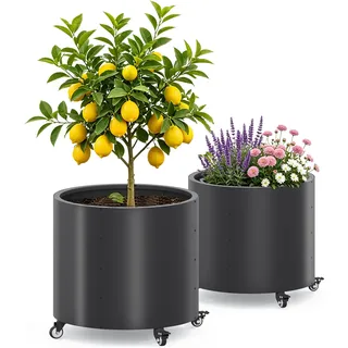 Jacklin F Pflanzkübel groß außen Outdoor Ø 61 * 56cm hoch aus Metall​mit Rollen,150L für Zitronenbäume & Gemüse, 4 Drainage-Löcher für Balkon ,Garten(2pcs)