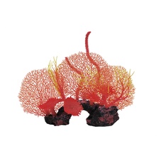 ICA Set Gorgonias 36 cm, 830 g