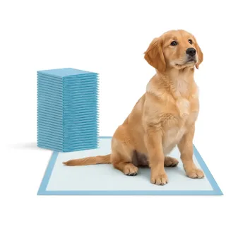 Wintem - Set mit 25 super saugfähigen Hundeunterlagen 60 x 90 cm mit Geruchshemmung und Formel 3gSAP, hygienische Matten mit 4 Ecken, Aufkleber für Training und täglichen Gebrauch, dermatologisch