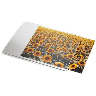 Esselte Mauspad Personal Transparent/Weiß