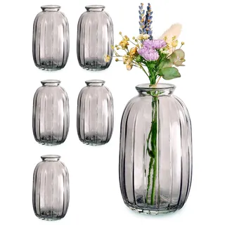 Praknu 6 Mini Glasvasen 11,8 cm Hoch - Traumhafte Deko für Hochzeit - Spülmaschinenfest - Vintage Blumenvasen - Grau