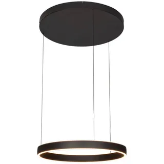 Dieter Knoll Led-Hängeleuchte , Schwarz , Metall, Kunststoff , Uni , rund , 170 cm , RoHS, Ce , höhenverstellbar, 3 Helligkeitsstufen , Lampen & Leuchten, Leuchtenserien