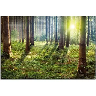 Wallario Outdoor-Poster für Garten oder Balkon, Motiv Sonnenuntergang im Wald zwischen den Bäumen, in ca. 61 x 91,50 cm - Schwarz
