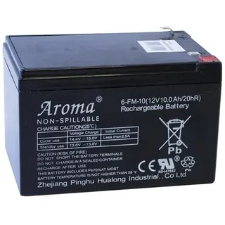 Nordic Play Battery for Electric Car 12 V 10 Ah