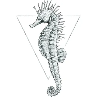 KOMAR Sea Horse White 30 x 40 cm