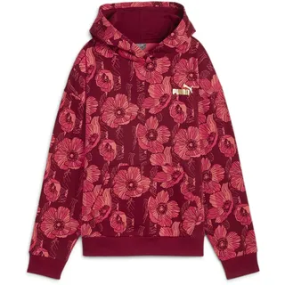 Puma ESS+ Class Act AOP Hoodie Rot XS