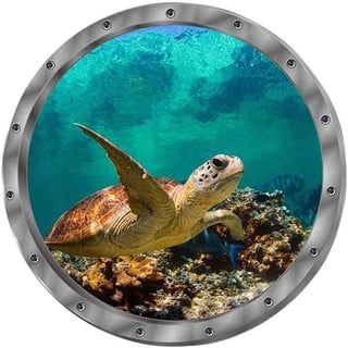 Wandtattoo Wandaufkleber 3D Fenster Delphin Schildkröten Unterwasserwelt Delfine Marine Wohnzimmer Schlafzimmer Kinderzimmer Deko (Schildkröten)