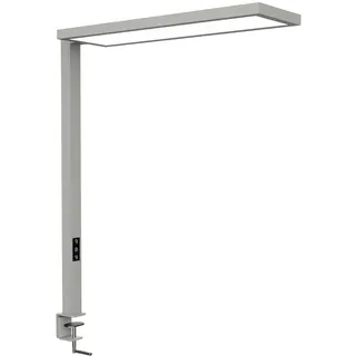 MAUL Klemmlampe MAULsenja | Tischlampe dimmbar (2700-5700 K) | Energieeffizente LED-Technik | Lampe mit direkter & indirekte Beleuchtung | Tischlampe mit Bewegungssensor | Silber