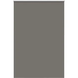 vidaXL Verdunkelungsrollo Grau 160x230cm Stoffbreite 156,6cm Polyester - Grau