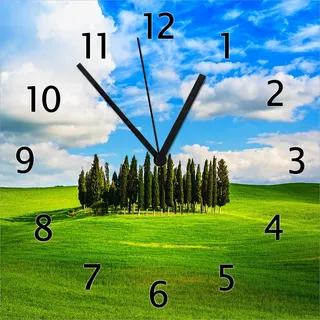 Wallario Design Wanduhr Kleiner Wald inmitten einer weiten Wiese aus Echtglas, Größe 30 x 30 cm - Schwarz