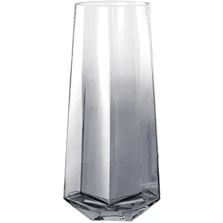 Laughhe Glasvase, Kristallklar Durchscheinend Vasen 25cm Hoch Blumenpflanze Knospenvasen, Blumenvase Schwere Glasblumenvase Dekorative Vase für Zuhause Büro Dekor (Grau)