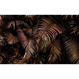 Rasch Tapete 363135 - Fototapete auf Vlies mit Palmenblättern in Rot und Schwarz aus der Kollektion Magicwalls - 2,65 m x 4,24 m (LxB)
