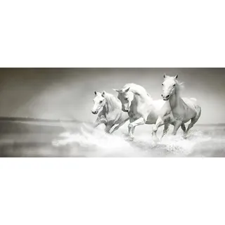 Tulup® Küchenrückwand Spritzschutz aus Glas -125x50 -Spritzschutz auf gehärtetes Glas Deko Tiere Weiße Pferde