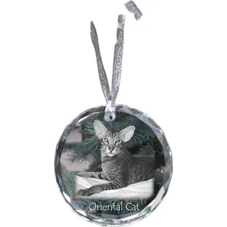 Orientalische Katze - Kristallkugel mit Foto, Katzenfoto im Kristall, personalisierter Weihnachtsbaumanhänger von Art-Dog.