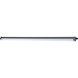 Philips ProjectLine 1 grau