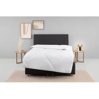 Microfaserbettdecke FAN "Microfaser kochfest, Bettdecken für Sommer und Winter, Decke", weiß, B:135cm L:200cm, Bezug: 100% Polyester. Füllung: 100% Polyester, Bettdecken, Microfaserbettdecke, Bettdecke 135x200 cm, 155x220 cm und weitere Größen, Made in Germany