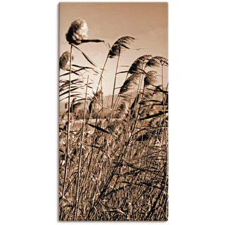 ARTland Wandbild »Sepia Gräser II«, Gräser, (1 St.), als Leinwandbild in verschied. Größen, beige