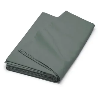 Cinderella Betttuch »Cinderella Flanell-Laken« für Matratzen bis 25 cm Höhe, grün