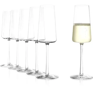 Stölzle Champagnerglas Sektglas 0,24 l 6 St.