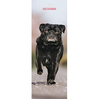 Mops Slim Kalender 2024