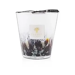 Baobab Collection Rainforest Tanjung Duftkerze 1 kg mehrfarbig