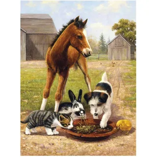 Pracht Creatives Hobby Royal & Langnickel - Malen nach Zahlen Junior Essen mit Freunden, enthält Farben und Pinsel, für Erwachsene und Kinder ab 8 Jahren