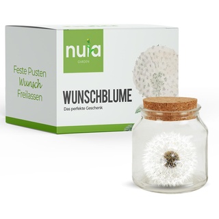 NUIA Wunschblume als Geschenk - Ewig haltbare Pusteblume im Glas - Geschenkidee zur Hochzeit, Geburtstag, Valentinstag, für Frauen oder zu Weihnachten - Glücksbringer und Vergiss Mich Nicht Geschenk