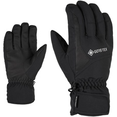 Bild Erwachsene GARWEN GTX Ski-Handschuhe/Wintersport | Wasserdicht, Atmungsaktiv, Gore-tex, Black, 9