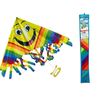 Teorema Giocattoli - Teorema-Regenbogen-Drachen mit Griff, einfach zu montieren, Maße 110 x 80 cm, 52012