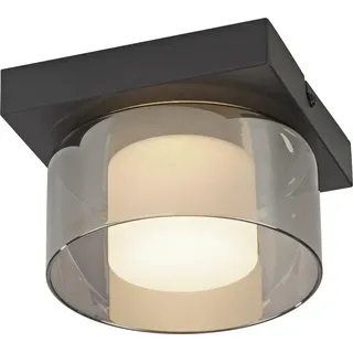 Paul Neuhaus 1 LED schwarz Aluminium, Glas