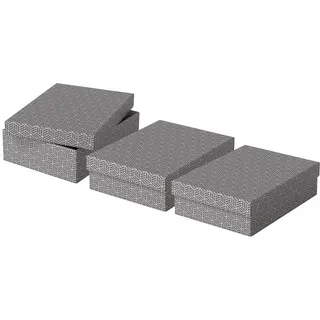 Esselte Aufbewahrungsbox 26,5 x 10 cm 3-tlg. grau