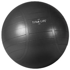 TITAN LIFE Unisex – Erwachsene PRO Gymball 55cm ABS, Grey, one Size